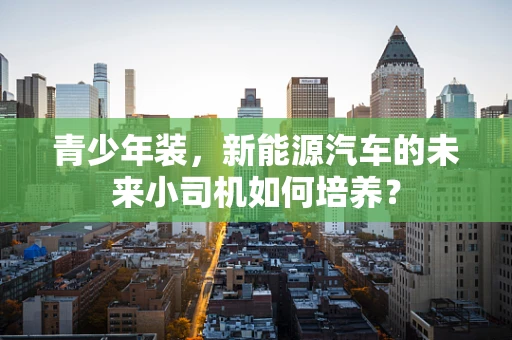 青少年装，新能源汽车的未来小司机如何培养？