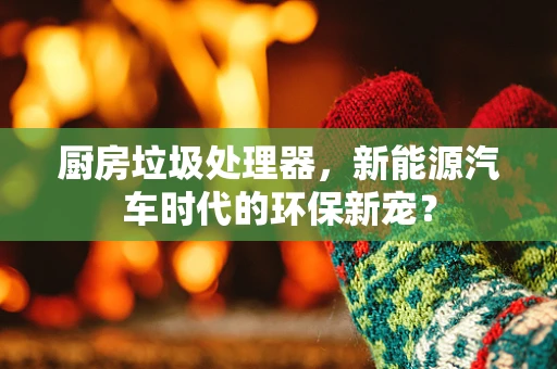 厨房垃圾处理器，新能源汽车时代的环保新宠？