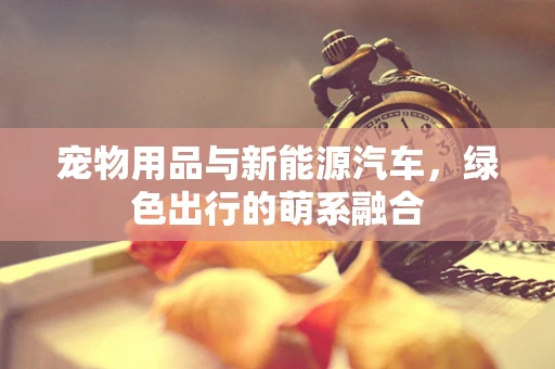 宠物用品与新能源汽车，绿色出行的萌系融合