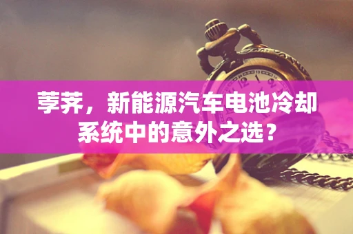 荸荠，新能源汽车电池冷却系统中的意外之选？