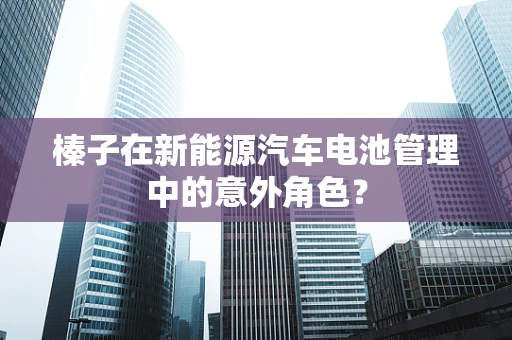 榛子在新能源汽车电池管理中的意外角色？