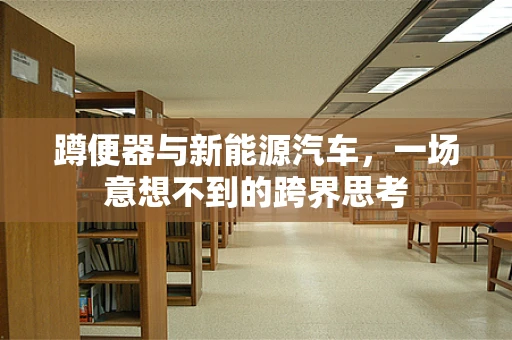 蹲便器与新能源汽车，一场意想不到的跨界思考
