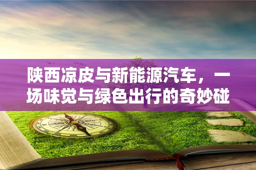 陕西凉皮与新能源汽车，一场味觉与绿色出行的奇妙碰撞