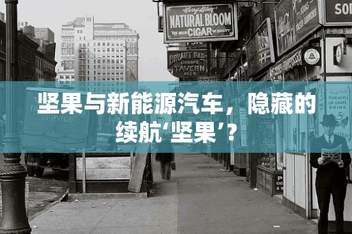 坚果与新能源汽车，隐藏的续航‘坚果’？