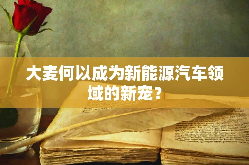 大麦何以成为新能源汽车领域的新宠？