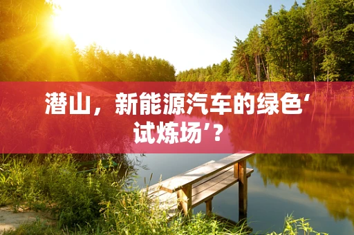 潜山，新能源汽车的绿色‘试炼场’？
