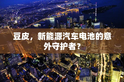 豆皮，新能源汽车电池的意外守护者？