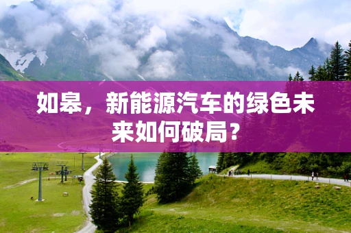 如皋，新能源汽车的绿色未来如何破局？