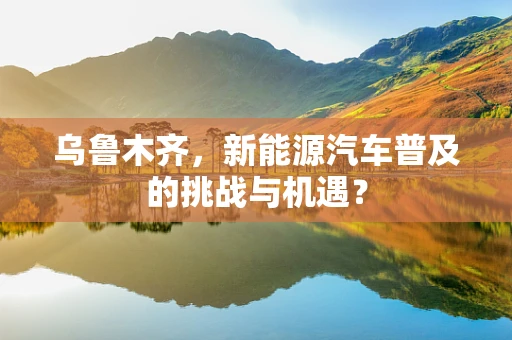 乌鲁木齐，新能源汽车普及的挑战与机遇？