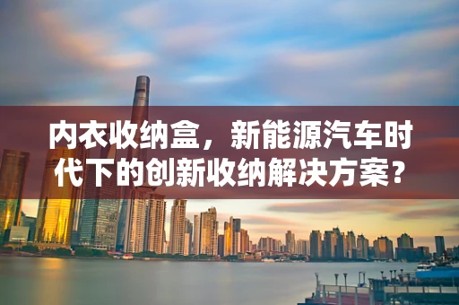 内衣收纳盒，新能源汽车时代下的创新收纳解决方案？