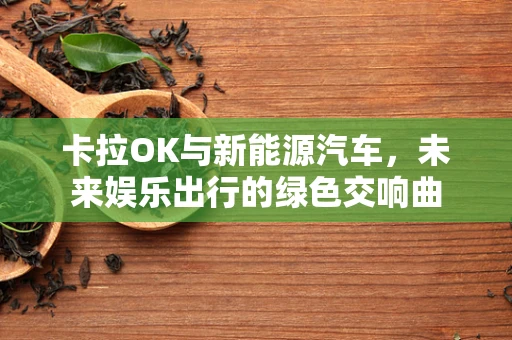 卡拉OK与新能源汽车，未来娱乐出行的绿色交响曲