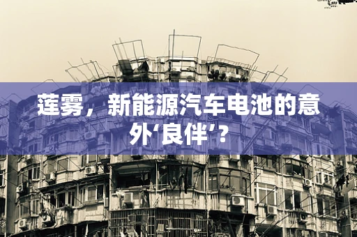 莲雾，新能源汽车电池的意外‘良伴’？