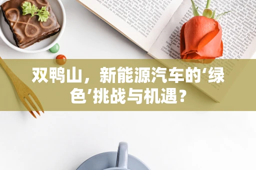 双鸭山，新能源汽车的‘绿色’挑战与机遇？