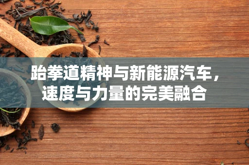 跆拳道精神与新能源汽车，速度与力量的完美融合