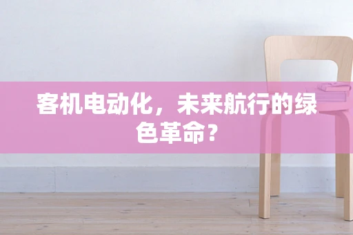 客机电动化，未来航行的绿色革命？