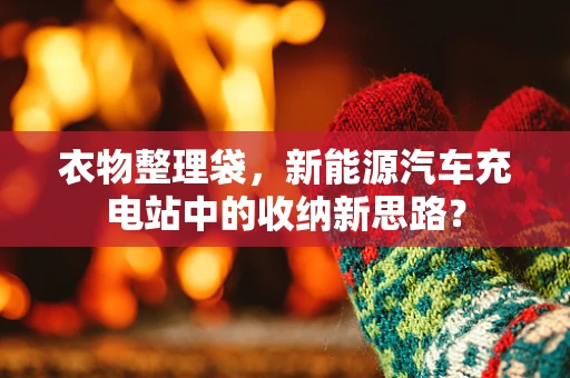 衣物整理袋，新能源汽车充电站中的收纳新思路？