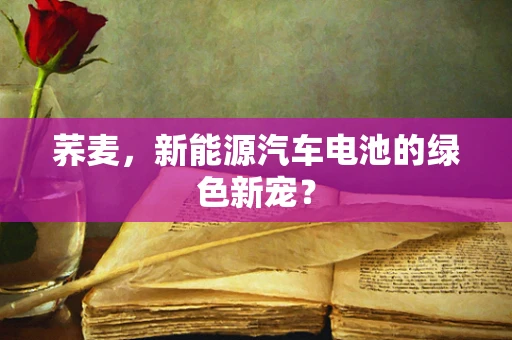 荞麦，新能源汽车电池的绿色新宠？