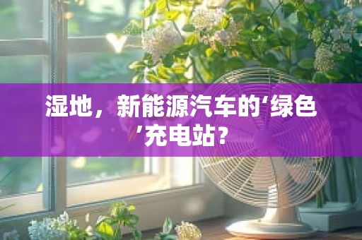湿地，新能源汽车的‘绿色’充电站？