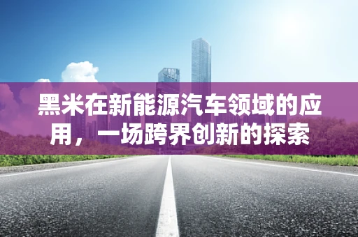 黑米在新能源汽车领域的应用，一场跨界创新的探索