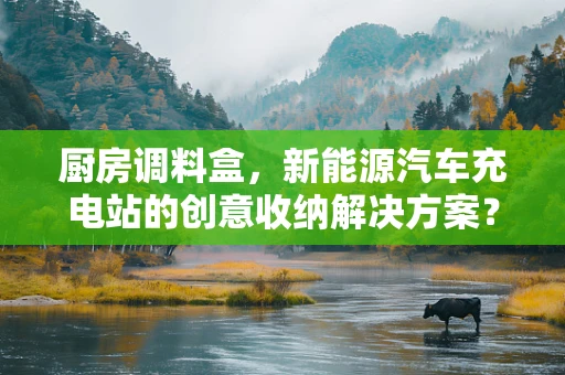 厨房调料盒，新能源汽车充电站的创意收纳解决方案？