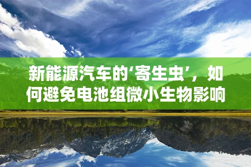 新能源汽车的‘寄生虫’，如何避免电池组微小生物影响？