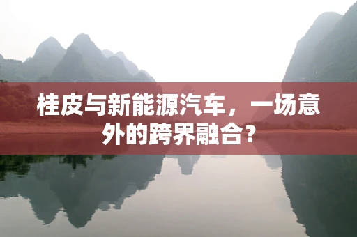 桂皮与新能源汽车，一场意外的跨界融合？