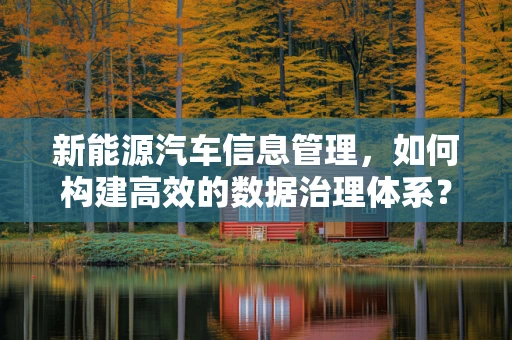 新能源汽车信息管理，如何构建高效的数据治理体系？