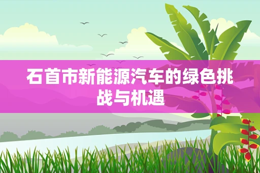 石首市新能源汽车的绿色挑战与机遇