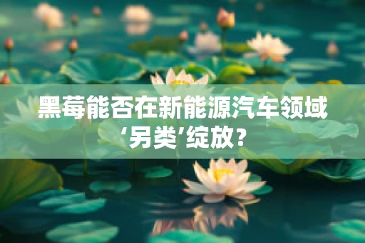 黑莓能否在新能源汽车领域‘另类’绽放？