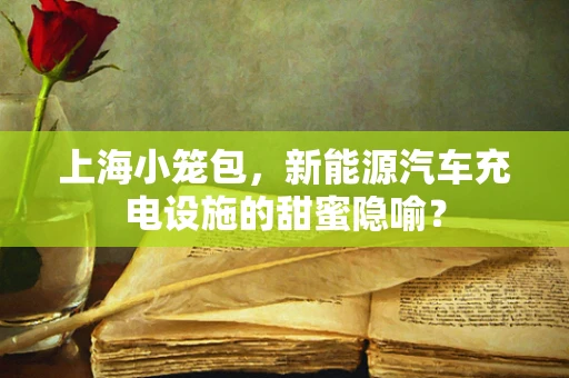 上海小笼包，新能源汽车充电设施的甜蜜隐喻？