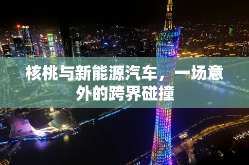 核桃与新能源汽车，一场意外的跨界碰撞