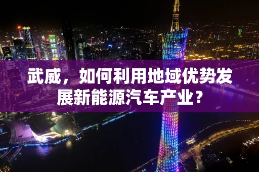 武威，如何利用地域优势发展新能源汽车产业？
