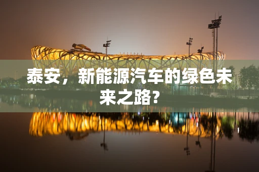 泰安，新能源汽车的绿色未来之路？