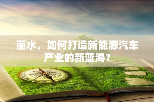 丽水，如何打造新能源汽车产业的新蓝海？