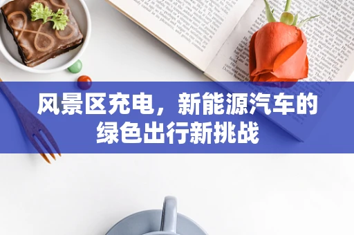 风景区充电，新能源汽车的绿色出行新挑战