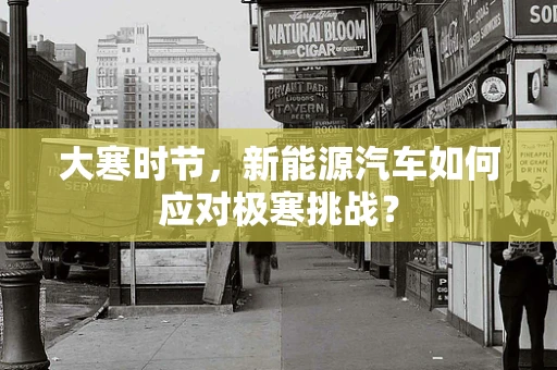 大寒时节，新能源汽车如何应对极寒挑战？