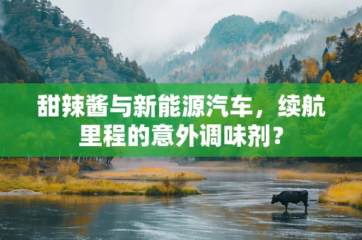 甜辣酱与新能源汽车，续航里程的意外调味剂？