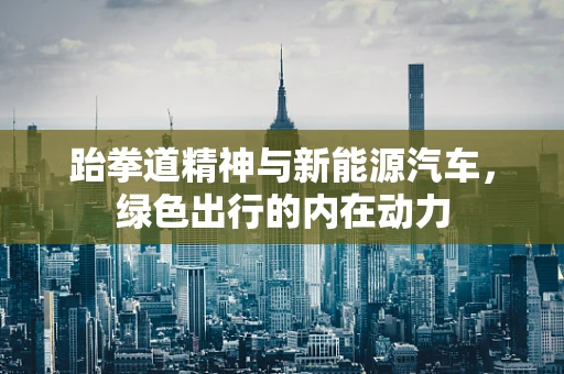 跆拳道精神与新能源汽车，绿色出行的内在动力