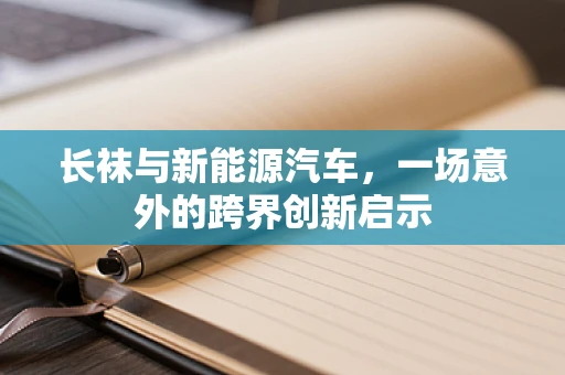 长袜与新能源汽车，一场意外的跨界创新启示