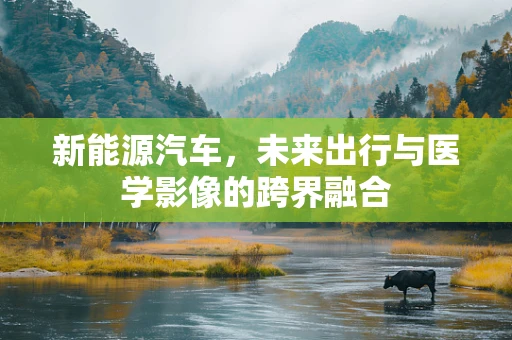 新能源汽车，未来出行与医学影像的跨界融合
