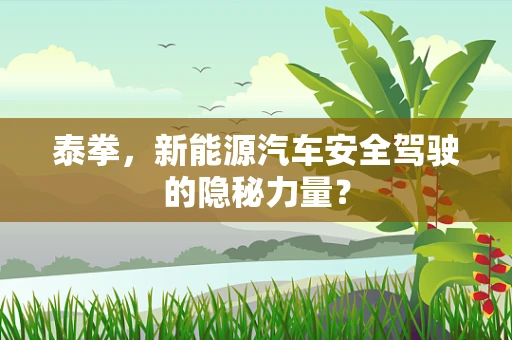 泰拳，新能源汽车安全驾驶的隐秘力量？