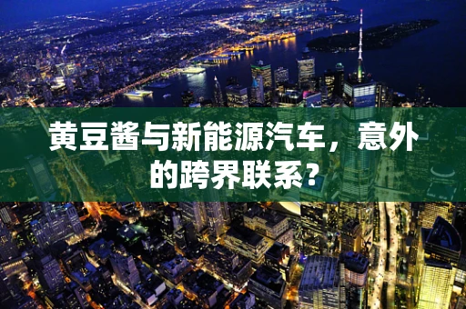 黄豆酱与新能源汽车，意外的跨界联系？