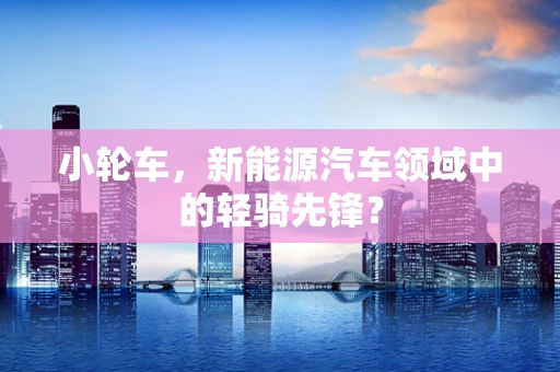 小轮车，新能源汽车领域中的轻骑先锋？