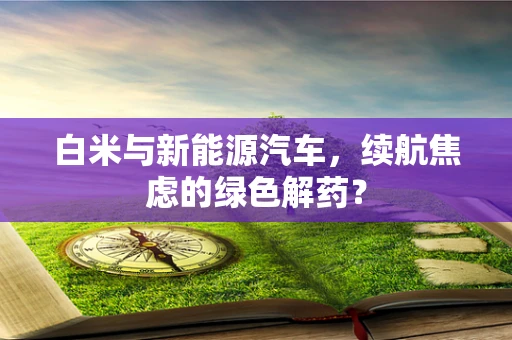 白米与新能源汽车，续航焦虑的绿色解药？