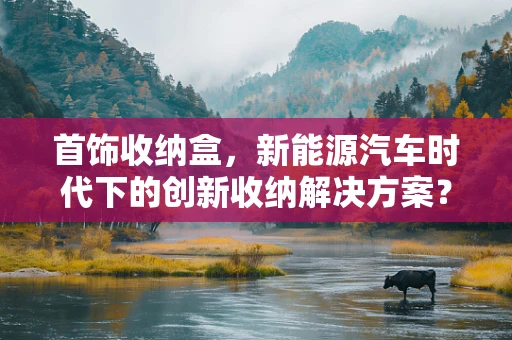 首饰收纳盒，新能源汽车时代下的创新收纳解决方案？