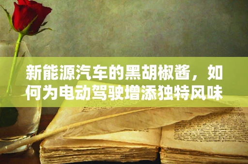 新能源汽车的黑胡椒酱，如何为电动驾驶增添独特风味？