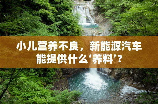 小儿营养不良，新能源汽车能提供什么‘养料’？