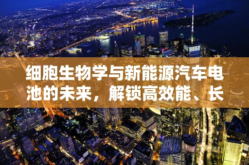 细胞生物学与新能源汽车电池的未来，解锁高效能、长寿命的秘密？