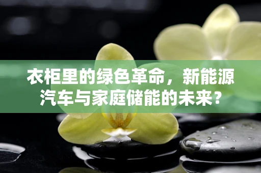 衣柜里的绿色革命，新能源汽车与家庭储能的未来？