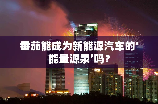 番茄能成为新能源汽车的‘能量源泉’吗？